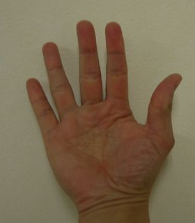 Picture_Palm.JPG